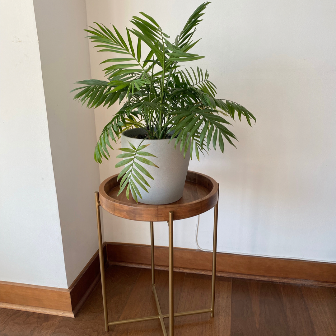 Muebles Toconao | Calidad y diseños únicos para complementar los espacios de tu hogar y darle estilo. Encuentra la mejor variedad en Mueblestoconao.cl
