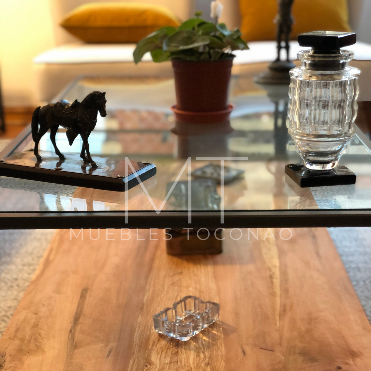 Mesa de Centro - Vidrio y madera