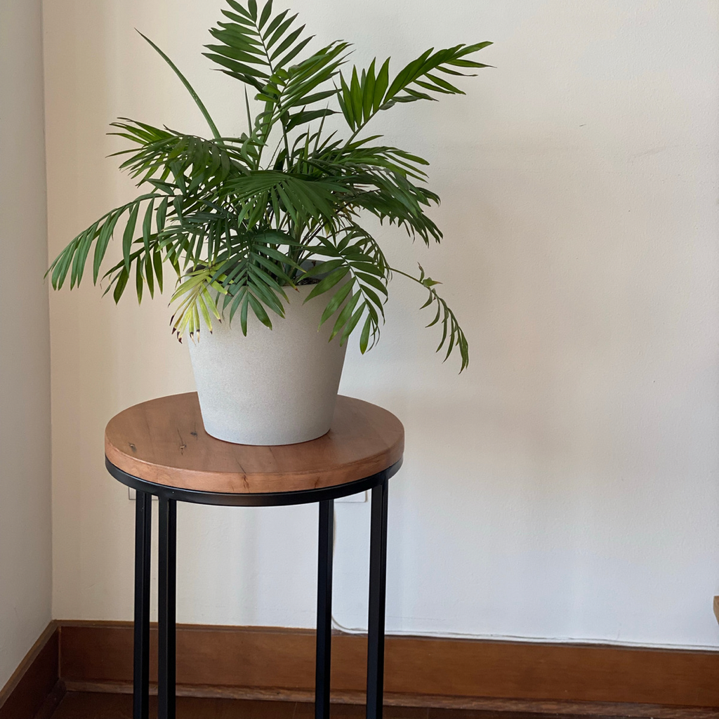 Muebles Toconao | Calidad y diseños únicos para complementar los espacios de tu hogar y darle estilo. Encuentra la mejor variedad en Mueblestoconao.cl